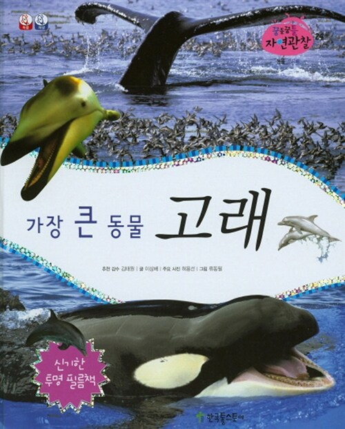 [중고] 가장 큰 동물 고래