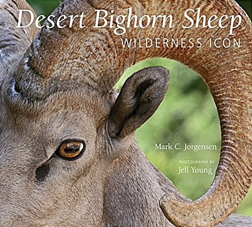 The Desert Bighorn Sheep: Wilderness Icon (Paperback)