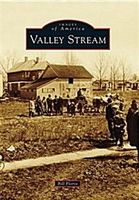 Valley Stream (Paperback)