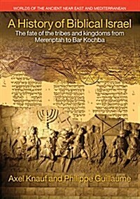 A History of Biblical Israel : The Fate of the Tribes and Kingdoms from Merenptah to Bar Kochba (Paperback)