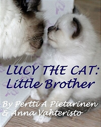 Lucy the Cat: Little Brother (Paperback)