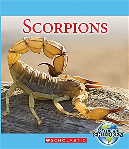 Scorpions (Natures Children) (Library Binding, Library)