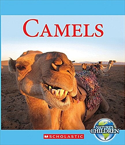 Camels (Library Binding)