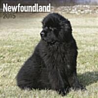 Newfoundland 2015