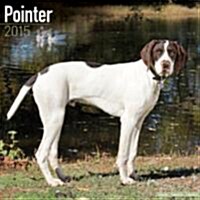 Pointer 2015