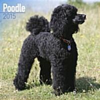 Poodle 2015