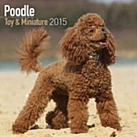 Poodle (Toy & Miniature) 2015