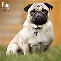 Pug 2015