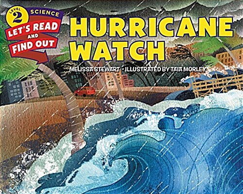 [중고] Hurricane Watch (Paperback)