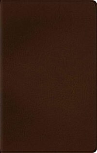 Value Thinline Bible-ESV (Imitation Leather)