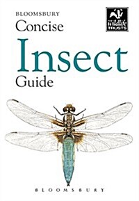 Concise Insect Guide (Paperback)