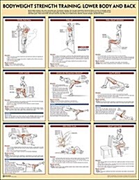 Bodyweight Strength Training Poster: Lower Body and Back (Other)