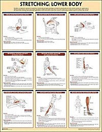 Stretching Poster: Lower Body (Other)