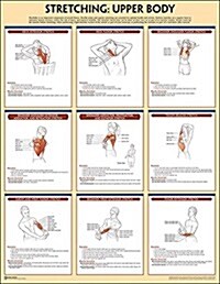 Stretching Poster: Upper Body (Other)