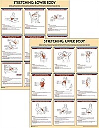 Stretching Anatomy Poster Series (Other)