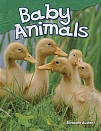 Baby Animals (Library Bound) (Kindergarten) (Hardcover)