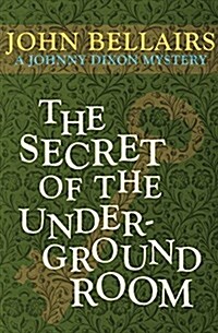 The Secret of the Underground Room (Paperback, Reissue)