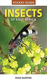 Pocket Guide: Insects of South Africa (Paperback)