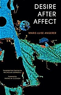 Desire After Affect (Paperback)