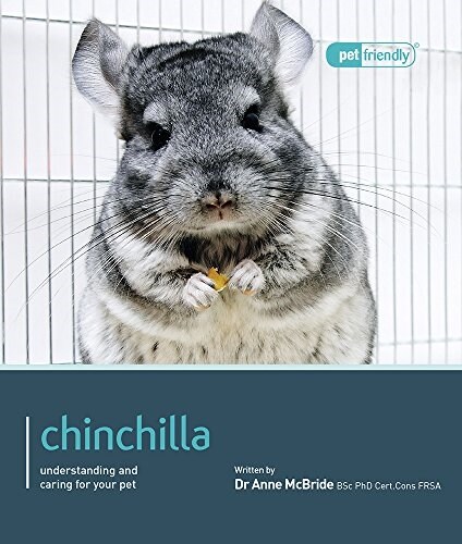Chinchilla. (Paperback)