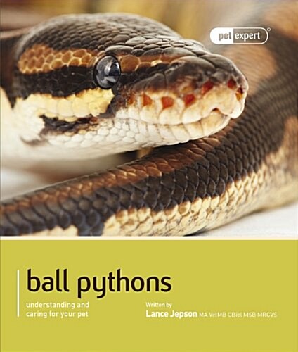 Ball Python (Royal Python) (Paperback)