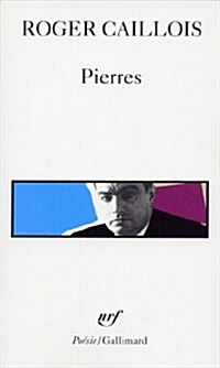 Pierres Autres Textes (Paperback)