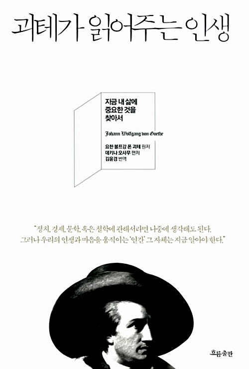 괴테가 읽어주는 인생 : 지금 내 삶에 중요한 것을 찾아서