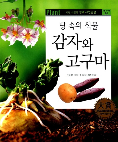 땅 속의 식물 감자와 고구마
