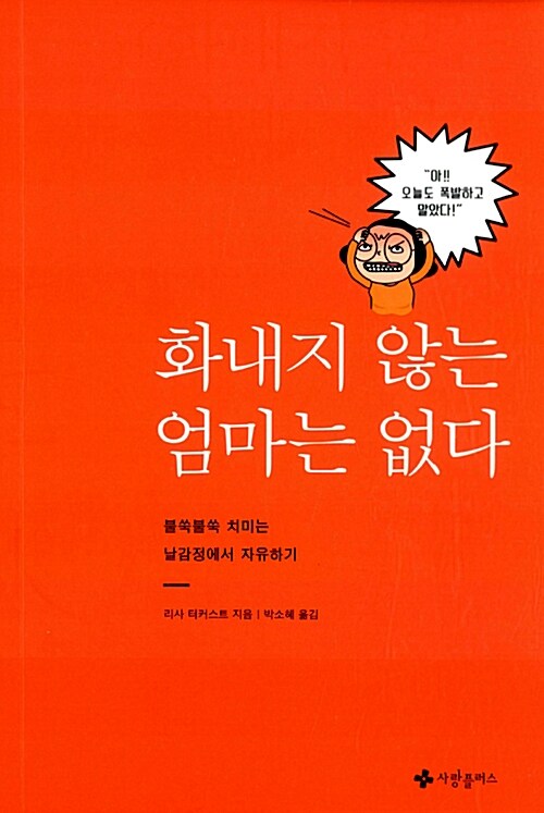 화내지 않는 엄마는 없다 : 불쑥불쑥 치미는 날감정에서 자유하기