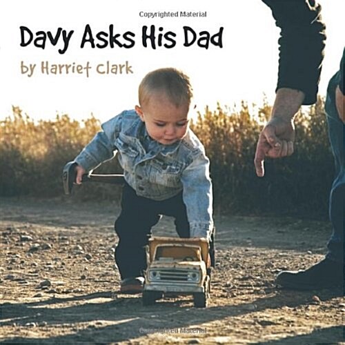 Davy Asks His Dad (Paperback)