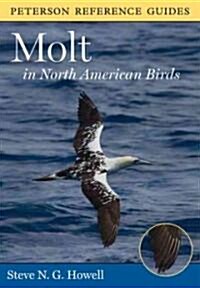 Molt in North American Birds (Hardcover, 1st)