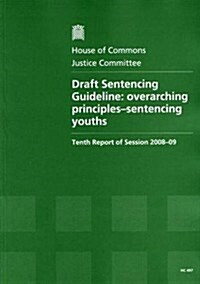 Draft Sentencing Guideline (Paperback)