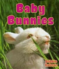 Baby Bunnies (Library Binding)