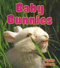 Baby Bunnies (Paperback)