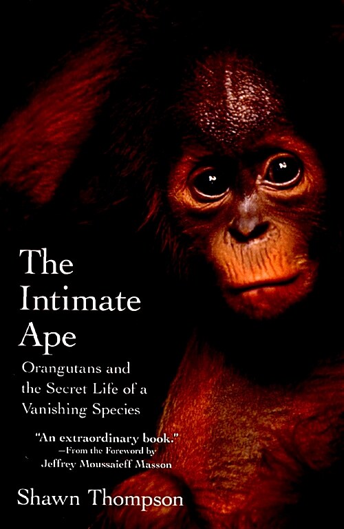 The Intimate Ape: Orangutans and the Secret Life of a Vanishing Species (Paperback)