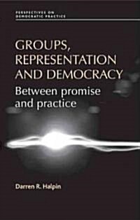 Groups, Representation and Democracy : Between Promise and Practice (Hardcover)