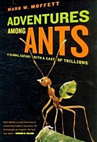 [중고] Adventures Among Ants (Hardcover)