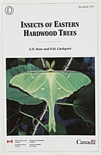 Insects of Eastern Hardwood Trees (Paperback)