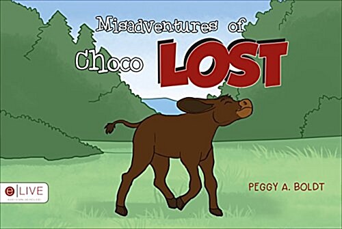 Misadventures of Choco Lost (Paperback)