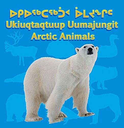 Arctic Animals (Board Books, Bilingual)