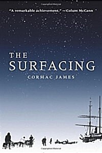 The Surfacing (Paperback)