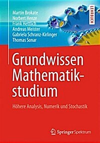 Grundwissen Mathematikstudium: H?ere Analysis, Numerik Und Stochastik (Hardcover, 1. Aufl. 2016)