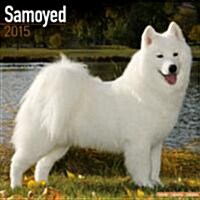 Samoyed 2015