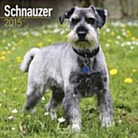 Schnauzer 2015