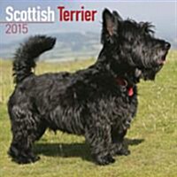 Scottish Terrier 2015