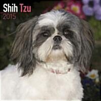 Shih Tzu 2015