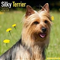 Silky Terrier 2015 (Calendar)