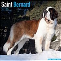 St Bernard 2015