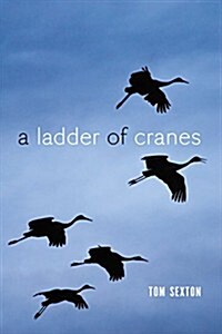 A Ladder of Cranes (Paperback)