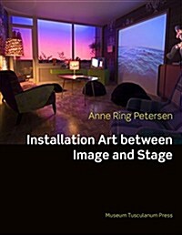 Installation Art: Between Image and Stage (Paperback)